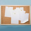 300 Pcs Drawing Pins for Photo Wall Feature Wall Cork