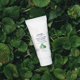 Yuanjae Hyal Cica Lotion 95g / 유안재 히알 시카 로션 95g