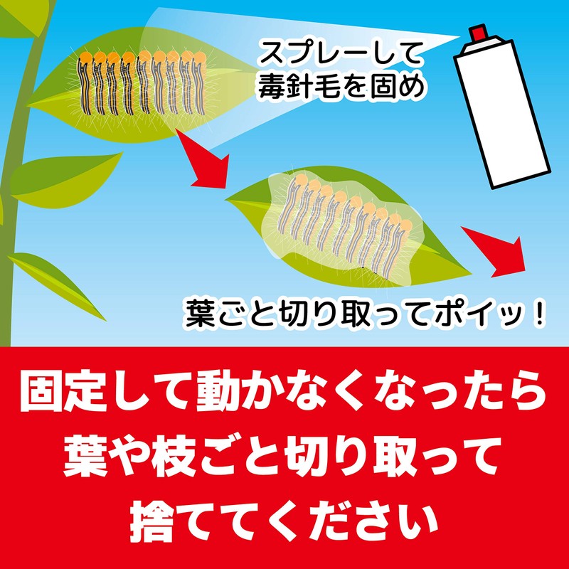 Gold Bird tyadokuga What's more Important To Hair to Compound