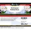 Bianca Rosa Echinacea Pallida Root Salve (2 oz, ZIN: 523978)