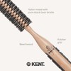 Kent Brushes PF24 Boar Bristle Radial Hairbrush, 30mm Round Barrel