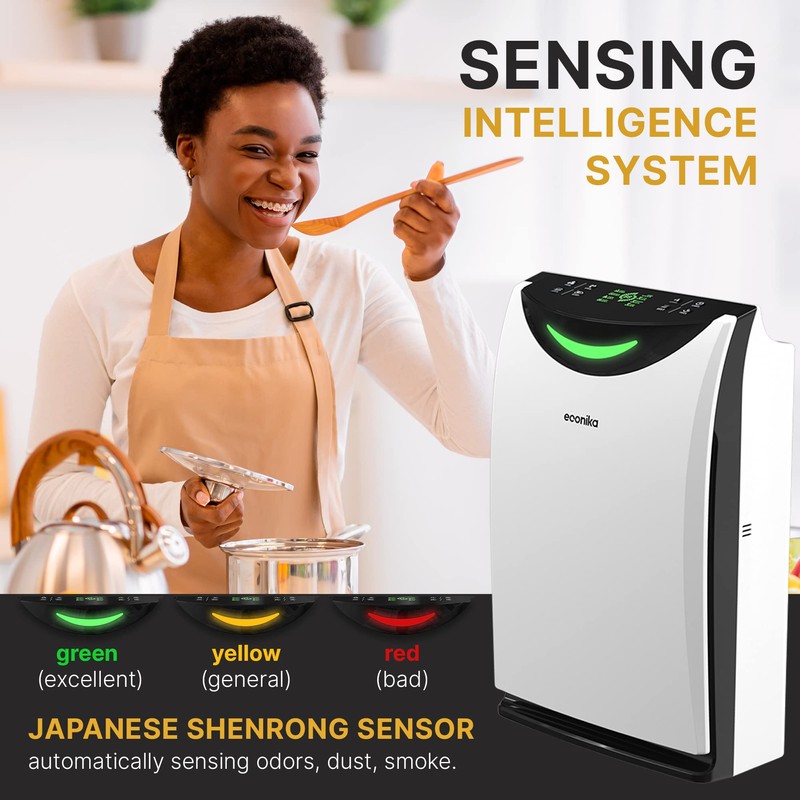 ECONIKA Original Replacement Filter for Smart True HEPA 4 in