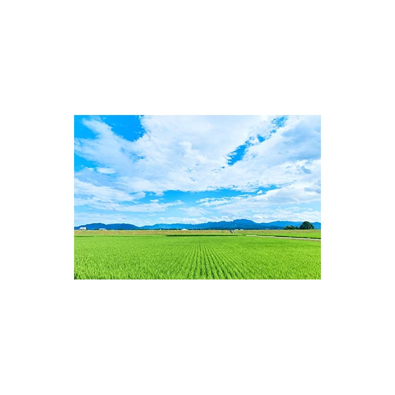 Kinako Roasted Roasted Flour 200 g x 2 Bag Set,