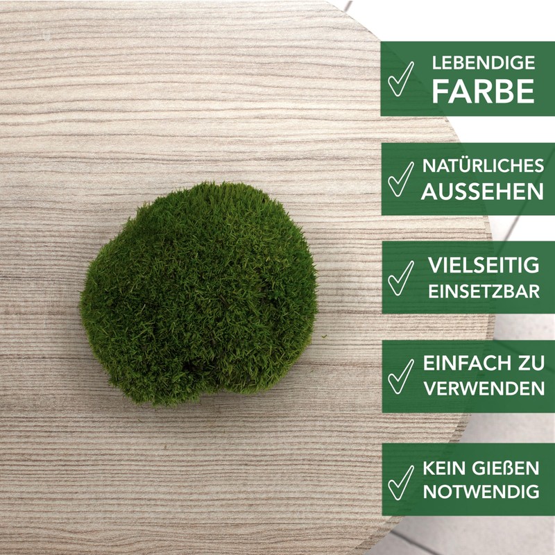 sphagnum-shop.com Bollenmoos preserved for moss pictures, decorative moss, premium quality,