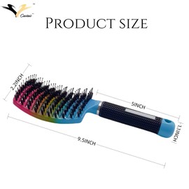 Castaic Boar Bristle Hairbrush,Comfortable Detangling Brush Getting Knots Out without Pain,Vented and Curved Hair Brush for Women Men Kids (Gradient)