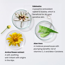 Monika Blunder Beauty - Blunder Cover Foundation Concealer - Shade: 4 - Vier - Medium, Neutral Peachy Undertones - Clean Beauty, All-In-One, Cruelty-Free, Vegan - 0.62 oz