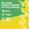 DIALED MOODS DIALED MOODS Electrolyte Powder - Citrus Circuit –