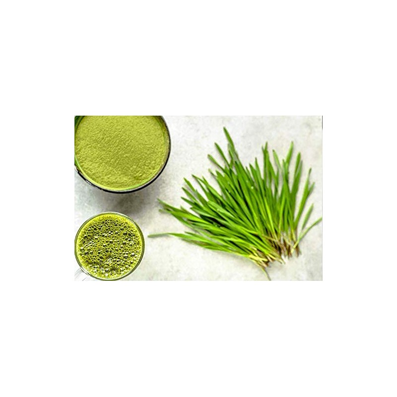 Purasana Bio Weizengras Saftpulver 200g vegan zertifizierte Spitzenqualität ohne Zusatzstoffe