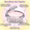 Fortipelo Kit Anticaída Shampoo Con Papa Romero Sábila Chile