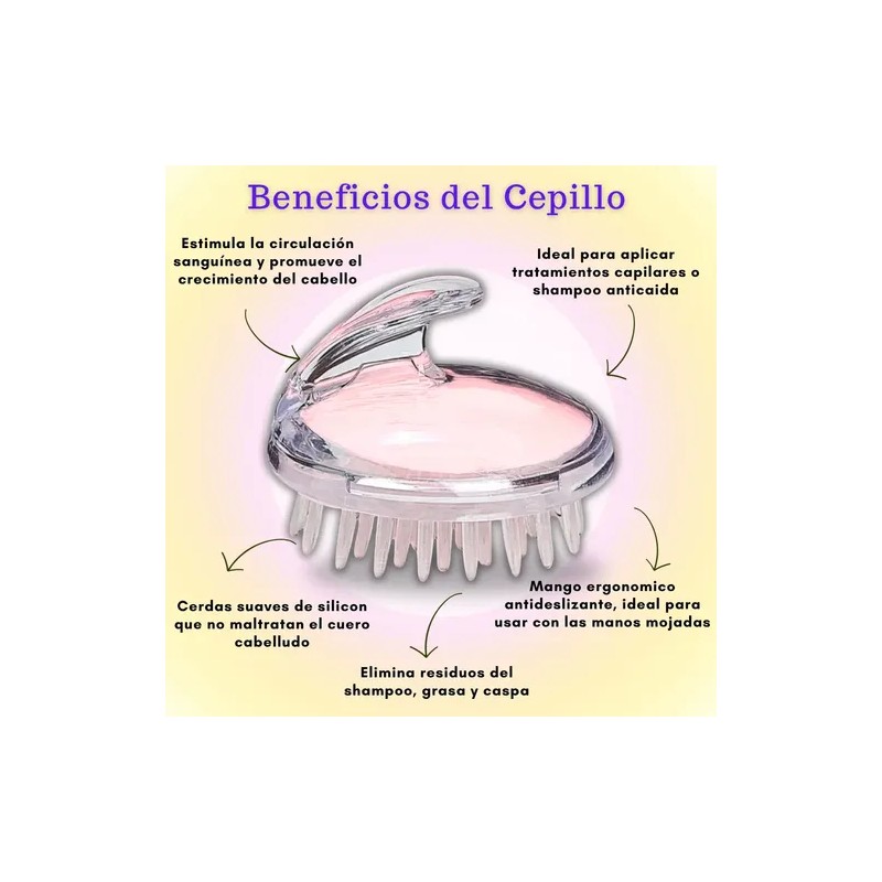 Fortipelo Kit Anticaída Shampoo Con Papa Romero Sábila Chile
