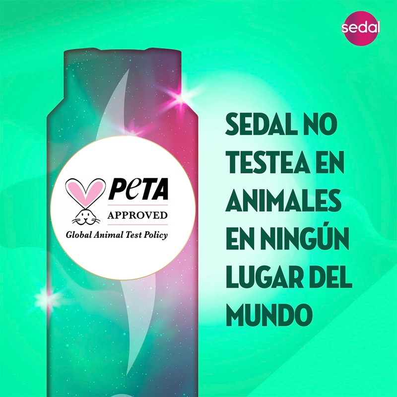 Shampoo Sedal Rizos Definidos 620 ml