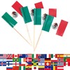 JBCD Mexico Toothpick Flag Mexican Mini Small Cupcake Topper Flags,