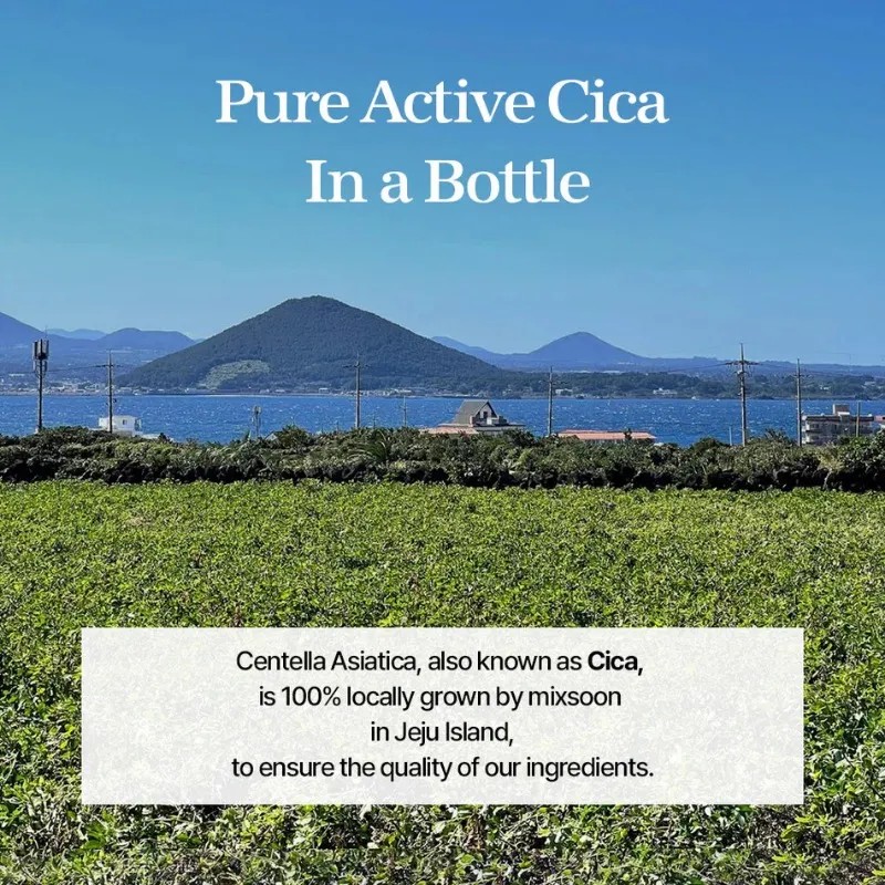 Crema Hidratante Centella Asiatica Essence