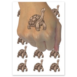 Giant Galapagos Aldabra Tortoise Reptile Turtle Temporary Tattoo Water Resistant Fake Body Art Set Collection - 15 2" Tattoos (1 Sheet)