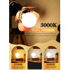 OMAYKEY 15W Dimmable Large LED Globe Bulb 100W Equivalent 1000
