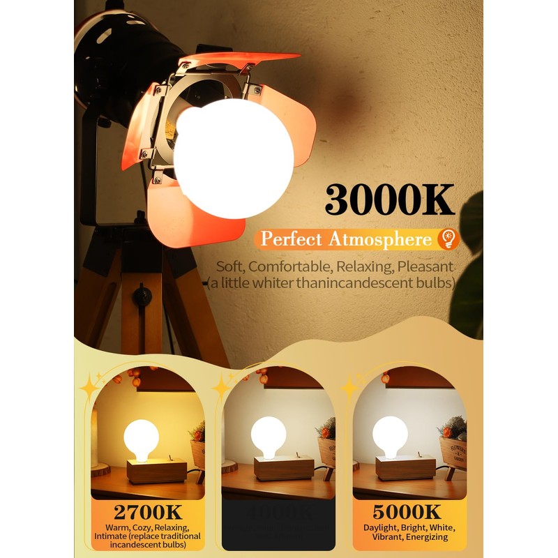 OMAYKEY 15W Dimmable Large LED Globe Bulb 100W Equivalent 1000