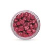 Berkley SCSN-NC PowerBait Crappie Sparkle Nibbles, Neon Chartreuse, 1.2-Ounce