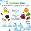 Boswellia & Turmeric Complex – 90 Capsules – Super High