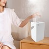 Mist Humidifier 3L Large Capacity Dual Nozzle Quiet USB Portable