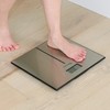 Detecto D133 Deluxe Modern Stainless Steel Body Weight Bathroom Scale,