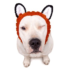 Zoo Snoods Fox Dog Costume - No Flap Ear Wrap Hood for Pets (Large)