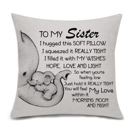 Bacmaxom Sister Gifts from Sister Brother Cushion Cover Pillowcase Cushion Case Throw Pillow Cover for Sister Birthday (sister)