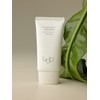 LBB Moisture Soothing SPF50 Sunscreen Sunscreen Sunscreen / LBB 엘비비