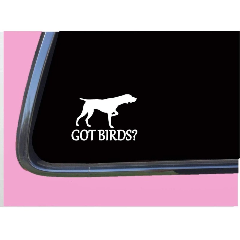 German Shorthair Pointer Got Birds TP 1332 Vinyl 6" Decal