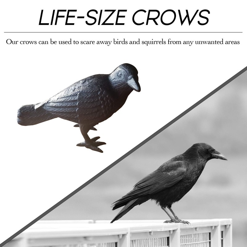 NACH Cast Iron Crow Statue, Head to Side Raven, Large