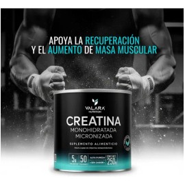 Creatina Monohidratada Micronizada en Polvo Valara  Alta Pureza Certificada  Con Scoop Dosificador - Creatine Monohydrate Pre Entreno - Platinum -... 