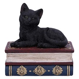 Nemesis Now Salems Spells Witches Familiar Black Cat and Spellbook Box, 11.7cm