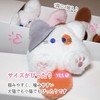 (Six Meow) Cat Toy, Popular Cat Play, Chewing Toy, Cute
