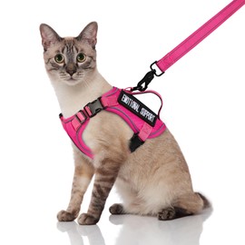 SALFSE Tactical Cat Harness and Leash, Escape Proof Large Cat Walking Vest,Adjustable Soft Mesh Pet Vest Harness with Control Handle, Molle Patches (777816858438, Large)