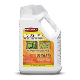GORDON'S Brush Killer for Large Property