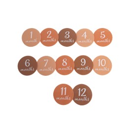 Pearhead Acrylic Monthly Milestone Photo Cards, Baby’s First Year Photo Prop Discs, Pregnancy Journey Milestone Markers, Blush Pink