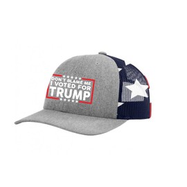 Trenz Shirt Company Don't Blame Me I Voted for 47th President Funny Political Men's Mesh Back Trucker Hat, Heather Grey/American Flag