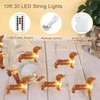 Impress Life Pet Theme Christmas Decorative String Lights, 10ft 30