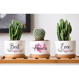 AnhTram97 Best Abuela Ever Plant Pots - Plant Pots Gifts for Abuela - Plant Pots Gifts for Plant Lovers - Gardening and Succulent Gift - Plant Office Garden Home Decor