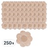 Kelbon Nipple Band Patch Flower, 250 pcs / 켈본 니플밴드 패치 플라워, 250개