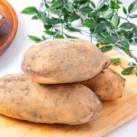 The Jo Eun Fresh Domestic Lotus Root (Medium) 2kg / 더조은 신선한 국내산 연근 (중품) 2kg