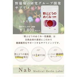 野ぶどうのめぐみ＋乳酸菌 サプリメント・30錠 【約1ヶ月分】 （野葡萄/Nab ）