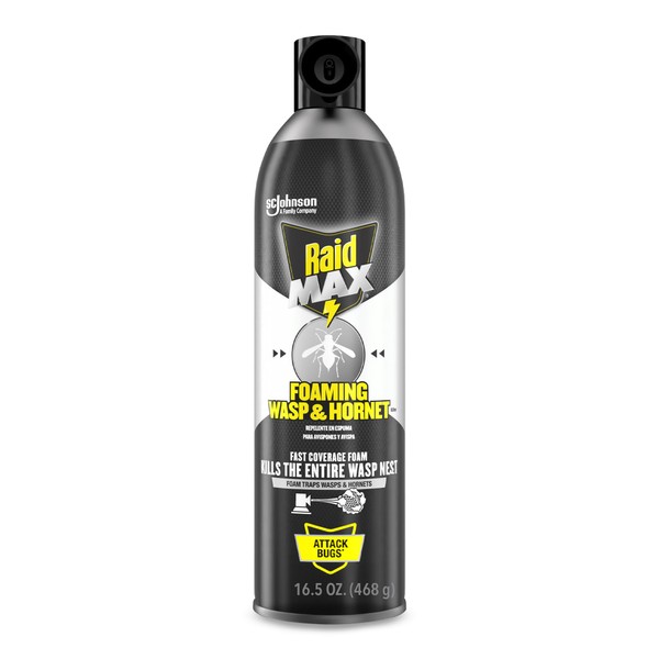 Raid Max Foaming Wasp & Hornet Killer, Fast Coverage Foam,