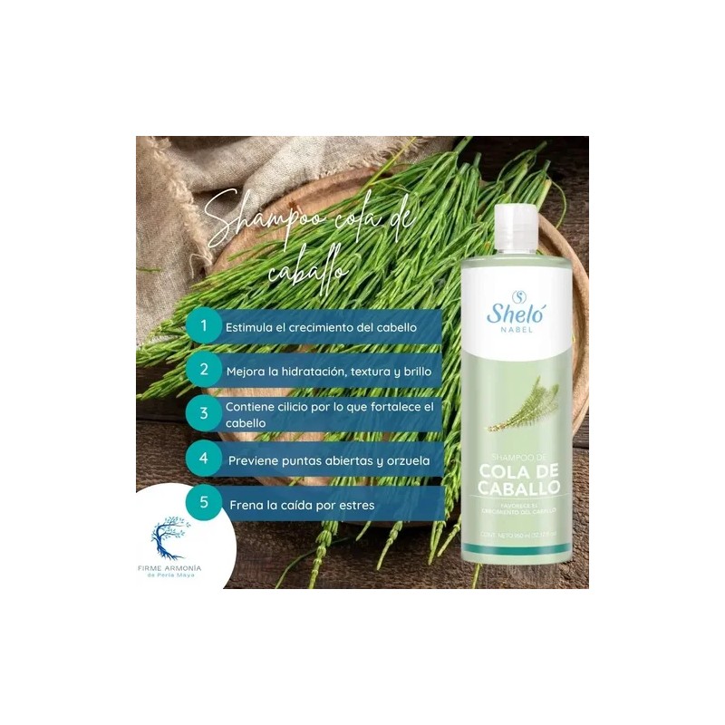 3 Shampoo Cola De Caballo Crecimiento/ Cabello Largo +regalo
