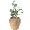 Woven Round Flower Pot Planter Basket with Leak-Proof Plastic Lining