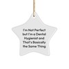 Dental Hygienist Gift, I'm Not Perfect But I'm A Dental