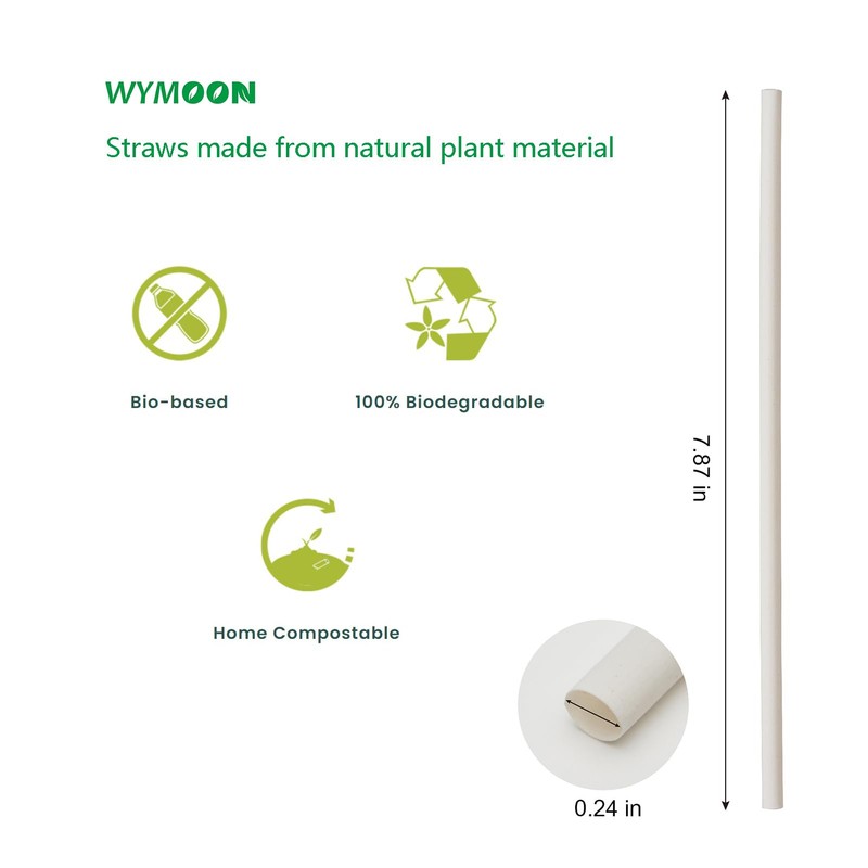 WYMOON Biodegradable Straws made of Natural Plant | 600 PCS