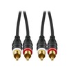 Audio-Technica RCA Audio Cable, 4.9 ft (1.5 m) (2 x