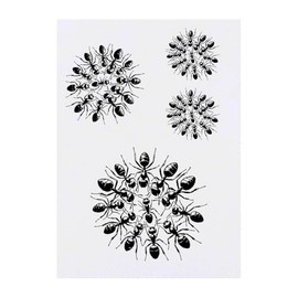 4 x 'Floating Ant Raft' Temporary Tattoos - Water Resistant, Skin-Safe, Non-Toxic Transfers, Mixed Sizes (TO00084968)