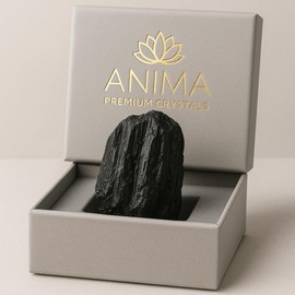 Anima Black Tourmaline Crystal – Raw Grounding Stone for Protection, Boundaries & EMF Shielding – Natural Energy Cleanser for Home & Workspaces – Gift Boxed