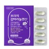 Green Store Borage Gamma Linolenic Acid 1203mg x 60 Capsules / 그린스토어 보라지 감마리놀렌산 1203mg x 60캡슐